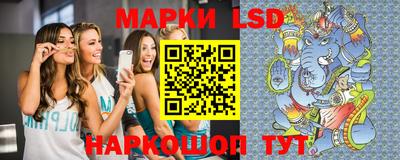 прущие грибы Ярославль