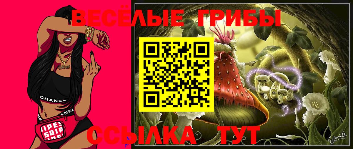 Псилоцибиновые грибы Cubensis  Вход с VPN  Благодарный 